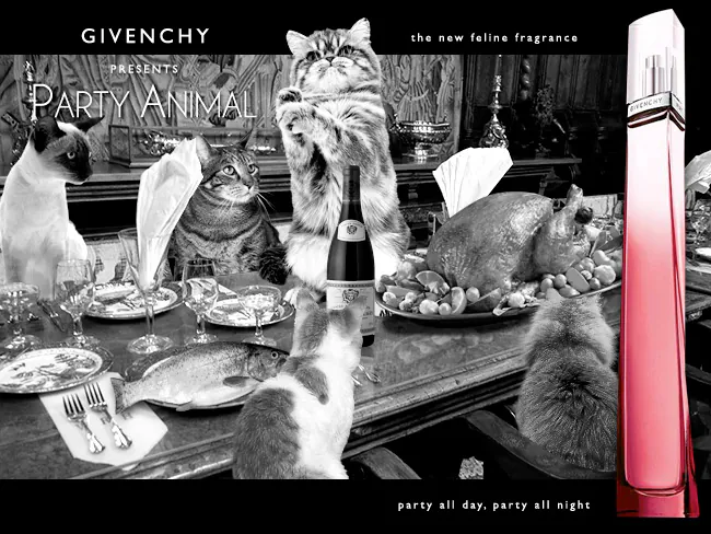 Dimanche avec des onglets le chat, mascotte de blog de maquillage et de beauté, vol. 753