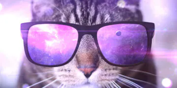  Dimanche avec des onglets le chat, mascotte de blog de maquillage et de beauté, vol.  754