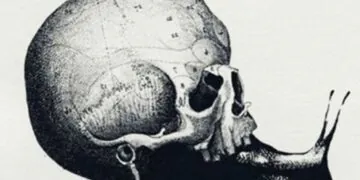 Illusion d