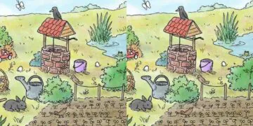 Serez-vous assez fort pour trouver les 6 différences ?