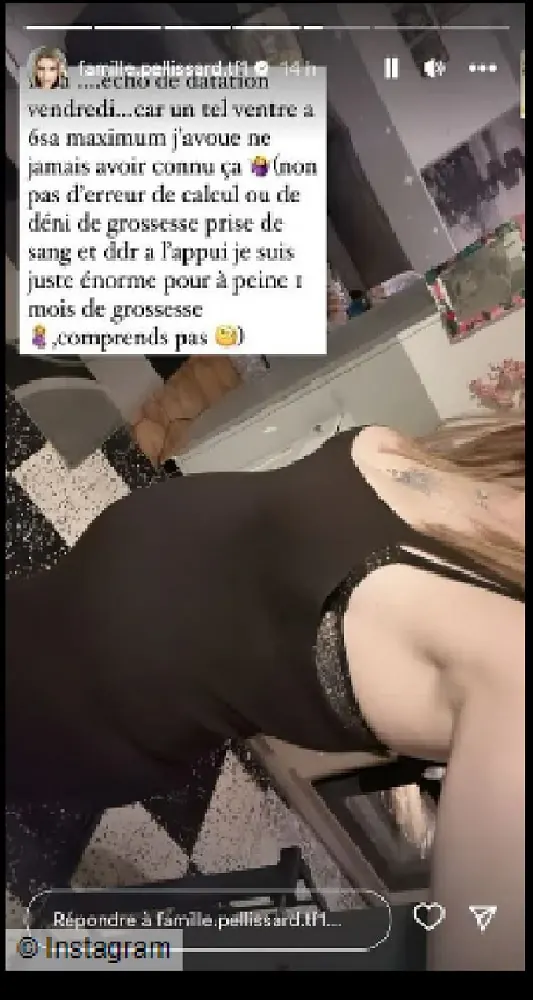 Amandine Pellissard enceinte de jumeaux ?
