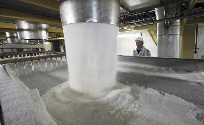 A la raffinerie de la coopérative sucrière française Tereos, à Lillers (Pas-de-Calais), le 18 novembre 2011.