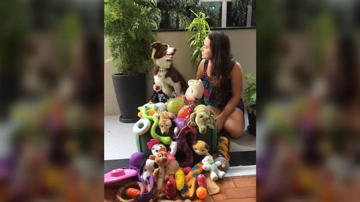 Gaia le chien et sa propriétaire Isabella assis avec un gros tas de jouets. Ils faisaient partie d'une étude sur le comportement naturel des animaux à l'Université Eötvös Loránd de Budapest.