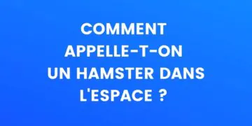 comment appelle-t-on un hamster dans l'espace ?