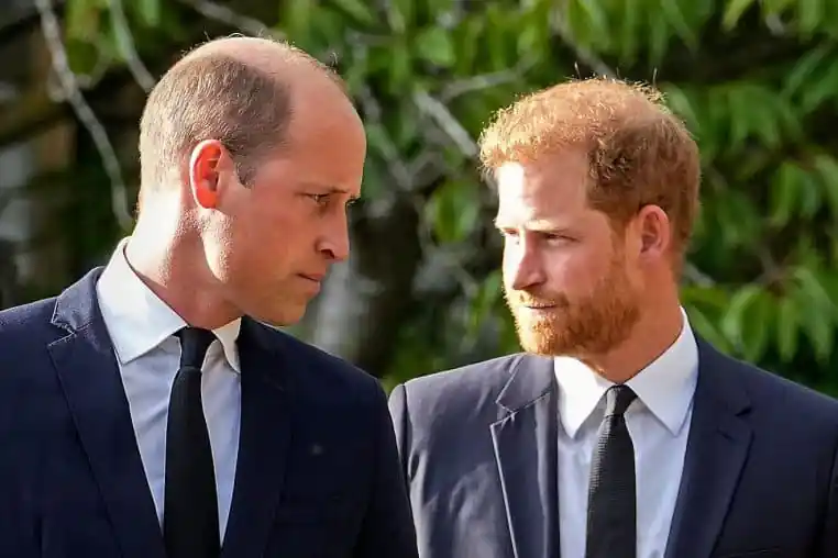 Prince Harry et Guillaume
