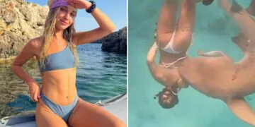 attaque requin