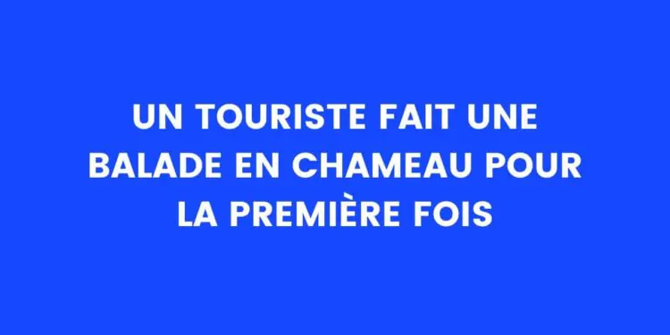 Blague du jour : Un touriste fait une balade à dos de chameau pour la première fois - TDN
