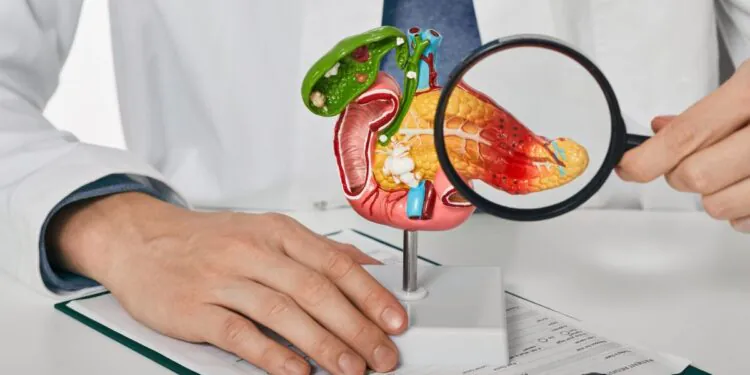 Pancréatite : causes, symptômes et traitements