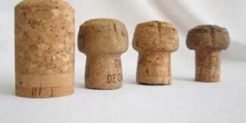 Comment font les fabricants de champagne pour mettre un bouchon plus gros que le goulot de la bouteille dedans ?