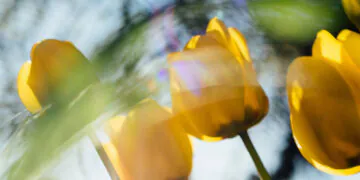 Blog maquillage et beauté Sondage du lundi, Vol.  775