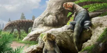 Un reptile à bec bizarre vieux de 230 millions d'années était un parent des crocodiles modernes