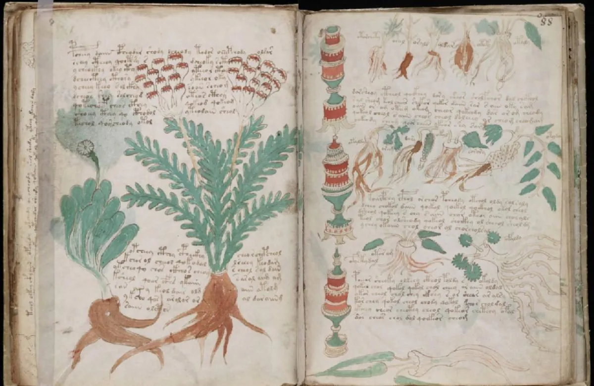 Manuscrit De Voynich, Plante, Livre