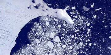 Les courants antarctiques alimentant 40 % de l'océan profond mondial en nutriments et en oxygène ralentissent considérablement