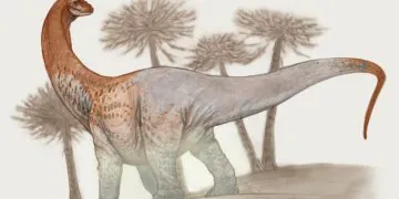 Un énorme dinosaure argentin de 30 mètres de long est si gros que ses fossiles ont brisé la route pendant le transport