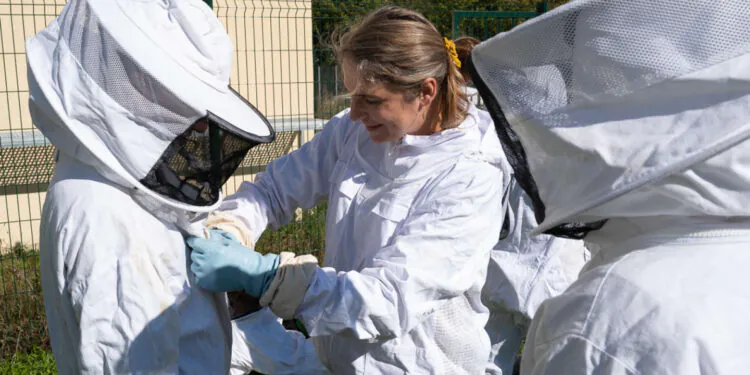 A Paris-VIII, cultivez vos « savoir-être » au contact des abeilles