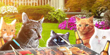 Dimanche avec des onglets le chat, mascotte de blog de maquillage et de beauté, vol.  765