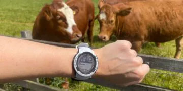 Économisez 29 % sur le Garmin Instinct 2 le mieux noté