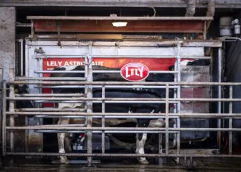 Au Nord, la traite des vaches s'expose en réalité virtuelle pour promouvoir les métiers agricoles