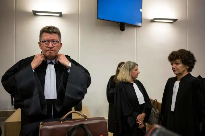 Denis Dreyfus, avocat de la famille Pasquion (à gauche), et Sophie Pujol-Bainier, avocate des parents d'Estelle Luce, dans la salle d'audience de Valence (Drôme), le 13 juin 2023.