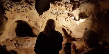 Les Néandertaliens ont créé les plus anciennes gravures "intentionnelles" d'Europe il y a jusqu'à 75 000 ans, selon une étude