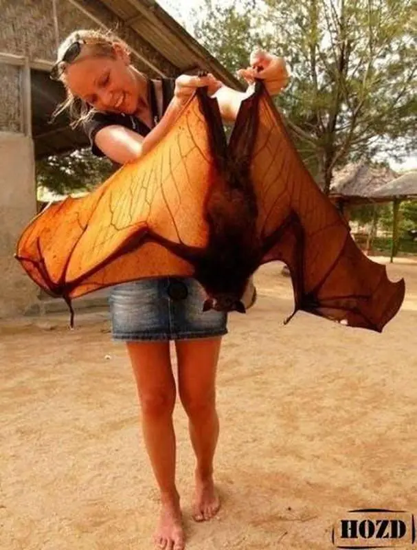 60 Bizarre Photos And The Chilling Stories Behind Them
