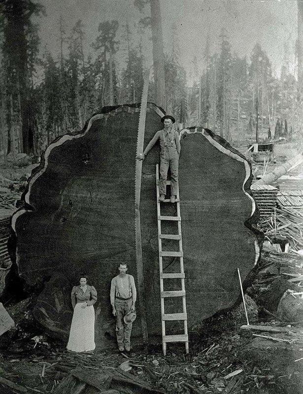 60 Bizarre Photos And The Chilling Stories Behind Them