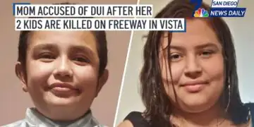 FULL STORY > Mom charged with DUI after children killed running onto California highway to get luggage