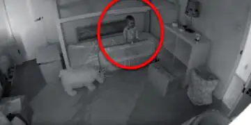 Mom Is Worried How Baby Keeps Disappearing From Crib, So She Installs A Security Camera To Find Out