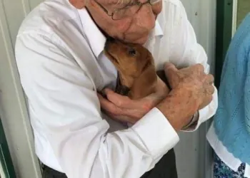 The Heartwarming Bond Between My Grandpa and a Rescue Dog